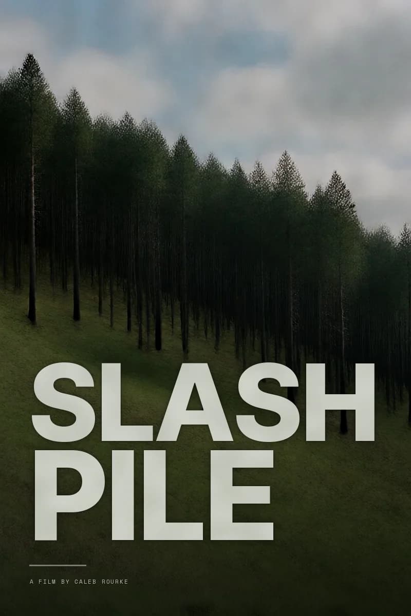 Slash Pile poster